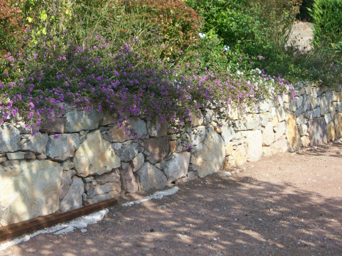Restanque fleurie